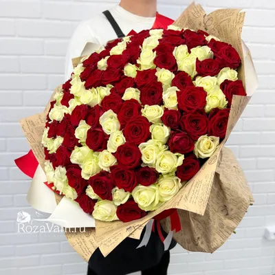 Купить букет из 115 красно-белых роз по доступной цене с доставкой в Москве  и области в интернет-магазине Город Букетов