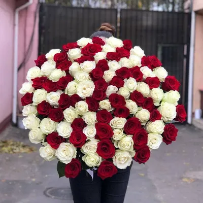 Букет из 45 красно-белых роз (60 см.) купить в Барнауле | Розы недорого  оптом розница