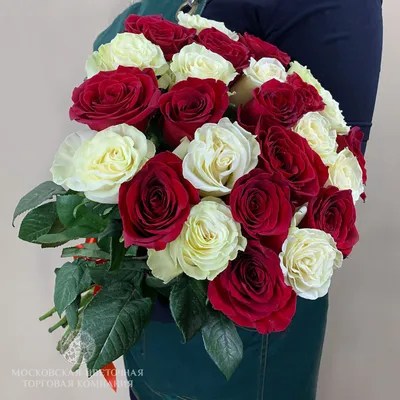 Букет из 17 свежей красно-белой розы ~ Доставка цветов в Ижевске