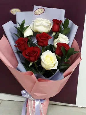 Букет 25 красно белых роз Россия Лунет — купить в Екатеринбурге