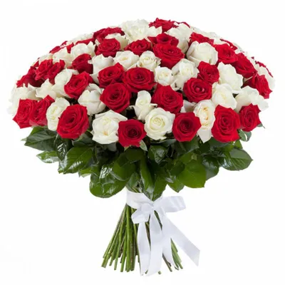 Корзина из 29 красно белых роз» – купить в Братске с доставкой -  интернет-магазин Crocus