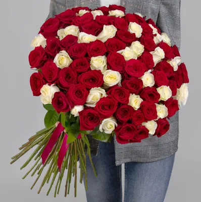 101 красно-белая роза микс премиум - Доставкой цветов в Москве! 21404  товаров! Цены от 487 руб. Цветы Тут