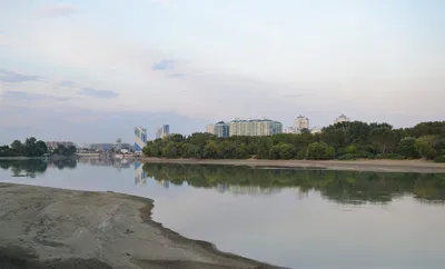 Четыре трубы сливают нечистоты»: в Краснодаре река Кубань обмелела и стало  видно, что в нее течет - KP.RU