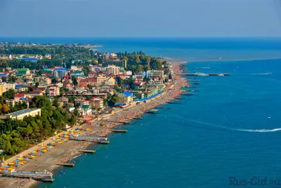 Куда лучше поехать на море в Краснодарском крае и где можно недорого  отдохнуть — Яндекс Путешествия