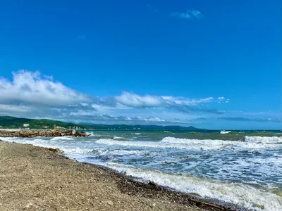 Краснодарский край: солнце, море и… буковые леса. Неожиданные и привычные  краски Кубани