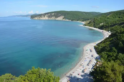 Бетта | Отдых на Черном море в Краснодарском крае | Пикабу