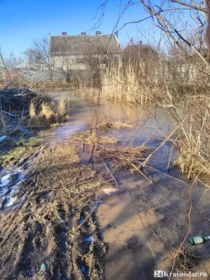 Пляж в районе Даурского — Даурское.ру — Отдых на Красноярском море.