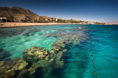 Красное Море панорамы стоковое фото. изображение насчитывающей прибрежно -  6122602