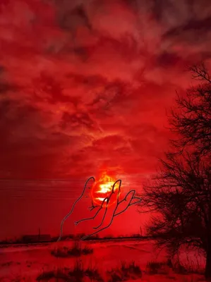 Красное небо фото фото
