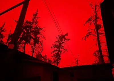 Нет, это не фотошоп. Это красное небо в Якутии из-за дыма от лесных  пожаров. Фотография — Meduza