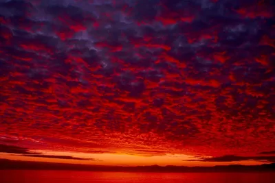 Красное небо (60 фото) - 60 фото