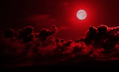 Кроваво-красное небо, 2021 — описание, интересные факты — Кинопоиск