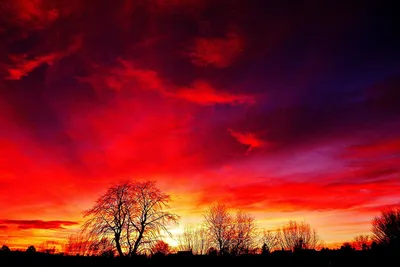 Небо над Украиной стало красного цвета – это явление сравнивают с полярным  сиянием