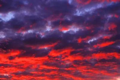 Удивительное Красное Небо — стоковые фотографии и другие картинки Красный -  Красный, Облако, Облачный пейзаж - iStock