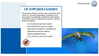 Почему от кольца чернеет палец: что делать, если почернел палец или кольцо