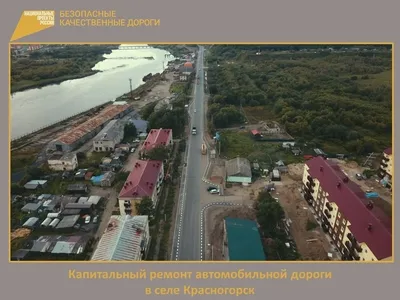 В Красногорске мойву можно собирать руками - KP.RU