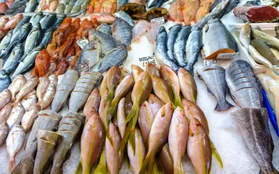 Рыба Краснопёрка - «Рыба Краснопёрка - и себе на ужин, и кошке на обед!  ЧЕРНЫЕ ПЯТНА на речной рыбе - что это? И можно ли есть такую рыбу. Какую  наживку используем для ловли» | отзывы