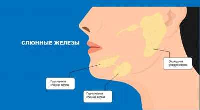 Ветрянка у детей: информация о ветряной оспе, симптомы, инкубационный  период, чем лечить