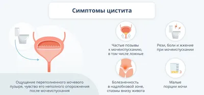Организация грудного вскармливания :: Кормление :: baby-krsk.ru -  Красноярский центр грудного вскармливания