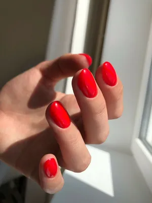 Красный | Red nails, Velvet nails, Nails