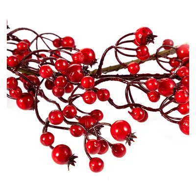 Красные ягоды на ветке Красные ягоды на ветке Стоковое Фото - изображение  насчитывающей конец, горизонтально: 166064644