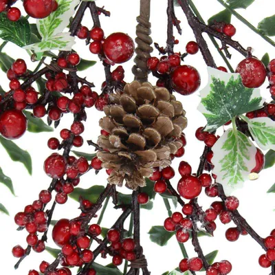 Красные лесные ягоды (67 фото) »