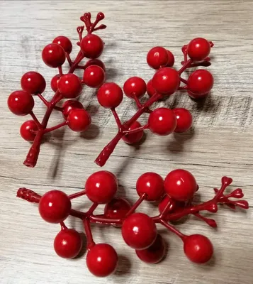 Дерево с красными ягодами (59 фото) - 59 фото