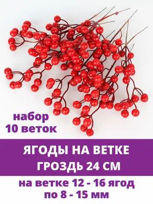 Продажу лесных ягод и грибов предложили не считать предпринимательством -  Российская газета