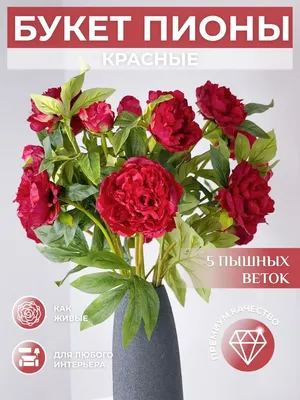 2 пряди, темно-красные пионы, настоящие пионы на ощупь, для самодельных  свадебных букетов, оформление свадебного центра | AliExpress