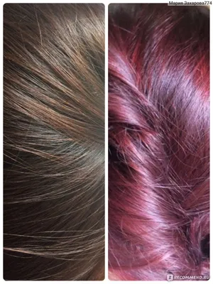 Красные пряди на темных волосах коротких (34 лучших фото)