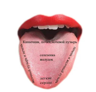Прыщи на языке ближе к горлу и жжение кончика языка - Вопрос стоматологу -  03 Онлайн