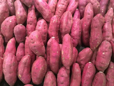 10 самых популярных сортов картофеля | Фруктовый сад, Самодельные теплицы,  Возвышенные огороды