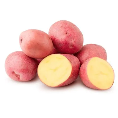 Семенной картофель Розара (порция 500 г)