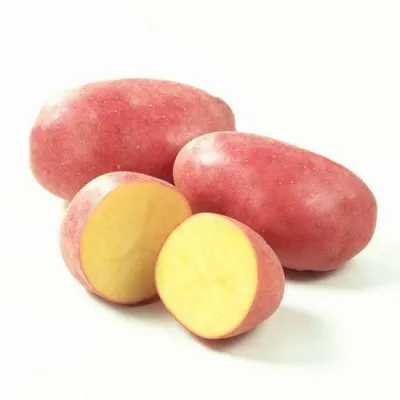 Купить: Картофель красный, вес – по самой низкой цене в интернет-магазине  г. Самарканд | Dostavo4ka.uz
