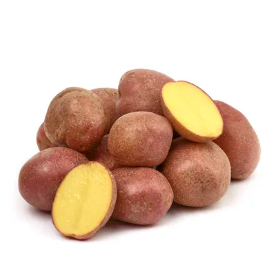 Как музей картофеля в Перу может предотвратить мировой продовольственный  кризис — Teletype