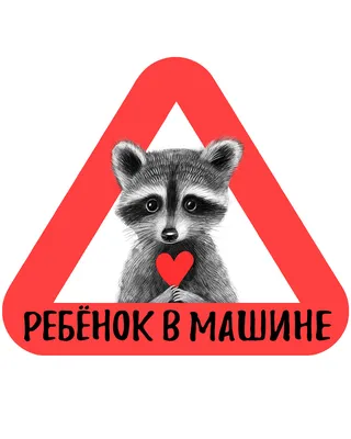 Как спасают брошенных енотов - 7 июня 2023 - 89.ru