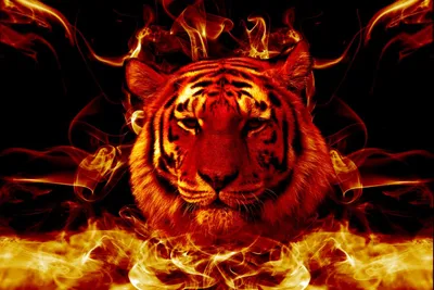 Красный тигр, лесостепь, динамика, …» — создано в Шедевруме