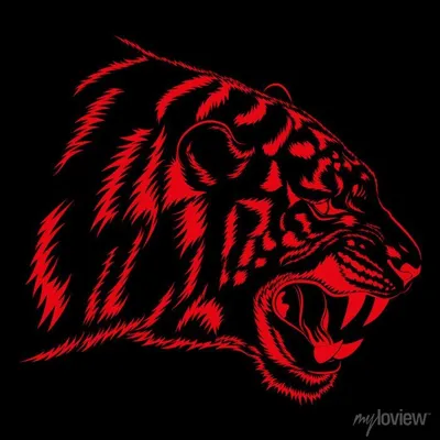 Красный тигр на черном фоне. векторное изображение фотообои • фотообои  зоопарк, шерсть, живая природа | myloview.ru