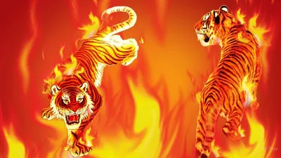 BINTURONG/ЭКО ПОМОЩЬ Красный Тайский бальзам Тигр прогревающий