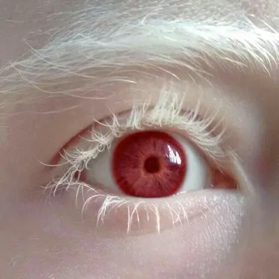 Red eye | Aesthetic eyes, Pretty eyes, Eye art