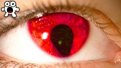Женский глаз, красота, красный цвет…» — создано в Шедевруме