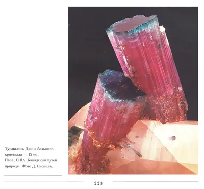 Браслет Арбузный турмалин - натуральный камень, 8 мм, на красном шнурке -  наполняет энергией - купить с доставкой по выгодным ценам в  интернет-магазине OZON (1079774851)