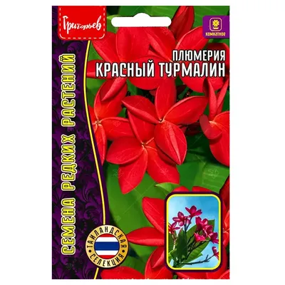 Турмалин натуральный, галтовка к2469 - купить в Украине оптом и в розницу |  bleskom.com.ua