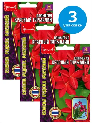 Серьги \"Рубеллит (розовый турмалин) и кварц\" №110226 - купить в Украине на  Crafta.ua