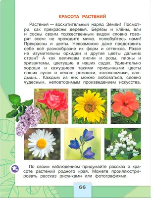 Ответ на стр.38 - И про воду, рабочая тетрадь Окружающий мир 2 класс 1  часть Плешаков | DNSIS авторские ГДЗ