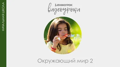 Учебник Окружающий Мир. 2 класс Электронный (Cd) - купить учебника по  естествознанию, природоведению в интернет-магазинах, цены на Мегамаркет |  156585