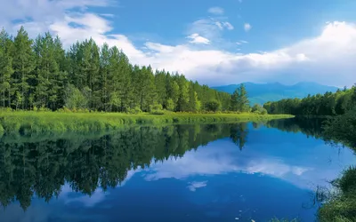 Красота воды родного края окружающий мир (Много фото) - treepics.ru