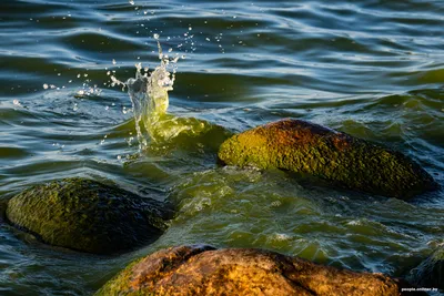 Вода в природе - 75 фото