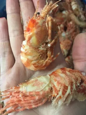 Одни из лучших креветок по мнению наших дорогих покупателей, это креветки с  Сахалина, выловлены в Охотском и Японском море. ⠀ Да, и тут мы… | Instagram