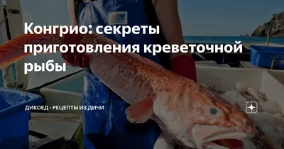 Креветочная рыба или Конгрио!!! Конгрио нежирная и легкая, поэтому очень  легко усваивается и прекрасно дополнит здоровый диетический… | Instagram